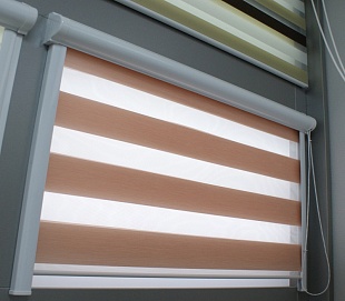 Рулонные шторы с тканью Зебра